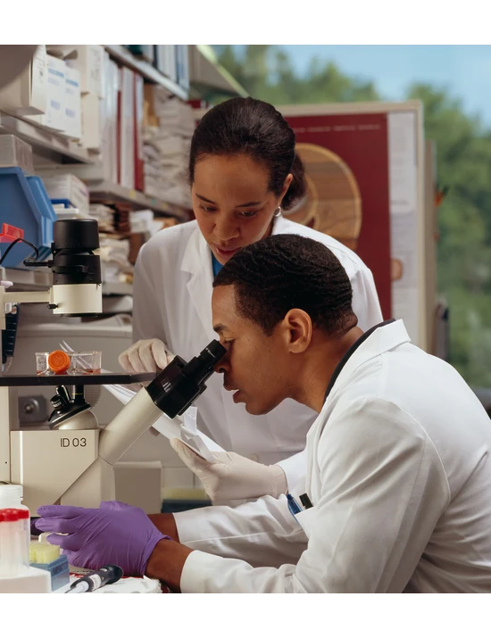 Kalp Research Work a research organization is a unit of Kalp Squad Group dedicated to promoting research and education in various fields.